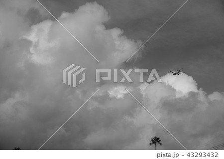 ふるさと夏の終わり 雲・花・海岸142 ふるさと夏の終わり 雲・花・海岸142 43293432