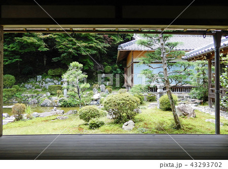 西教寺客殿庭園 43293702