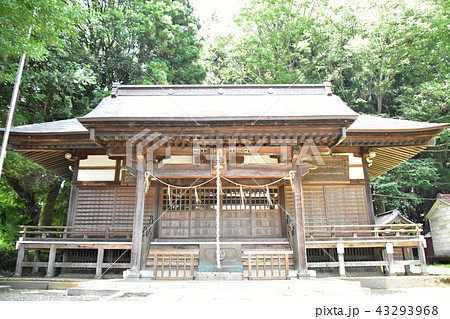 那須烏山市　八雲神社 43293968