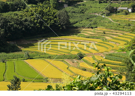 大垪和西棚田201808265dm210 43294113