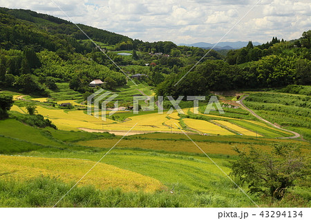 大垪和西棚田201808265dm230 大垪和西棚田201808265dm230 43294134