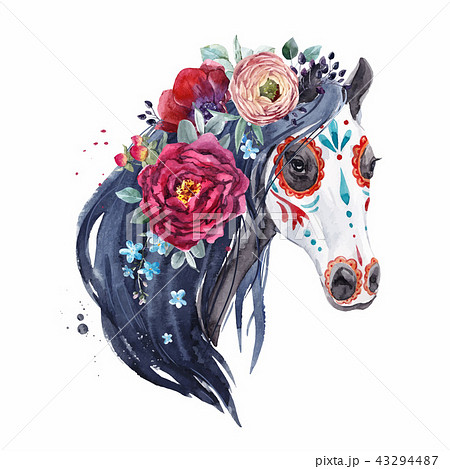 Watercolor horse vector portrait 43294487