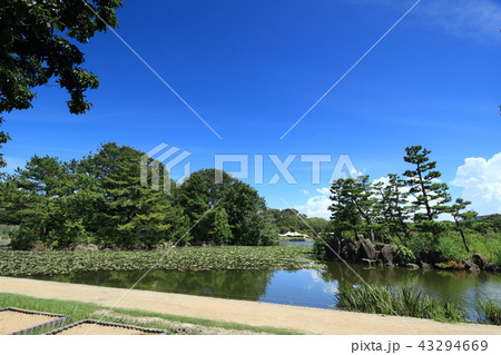 大阪市立長居植物園 43294669