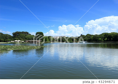 大阪市立長居植物園 大阪市立長居植物園 43294671