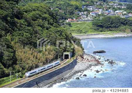 伊豆クレイル号 伊豆クレイル号 43294885