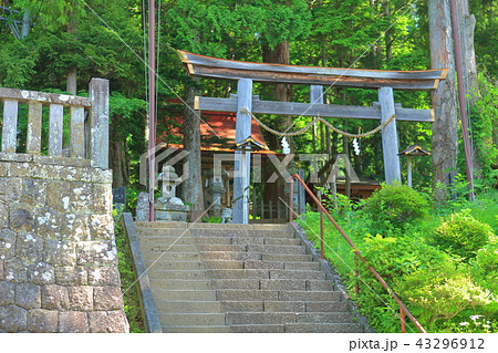 戸隠神社中社　 43296912