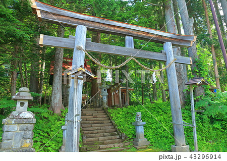 戸隠神社中社 戸隠神社中社 43296914