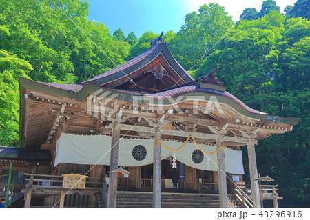 戸隠神社中社 社殿 戸隠神社中社 社殿 43296916
