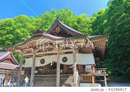 戸隠神社中社　社殿 43296917