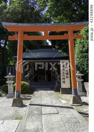 箭弓稲荷神社 埼玉県東松山市 箭弓稲荷神社 埼玉県東松山市 43298896