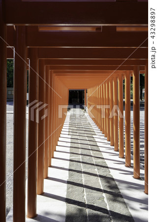 箭弓稲荷神社　埼玉県東松山市 43298897