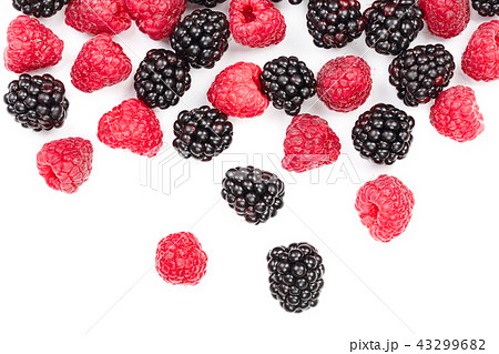 blackberry and raspberry isolated on white background. Top view. Flat lay pattern blackberry and raspberry isolated on white background. Top view. Flat lay pattern 43299682