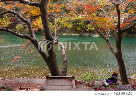 tourist at Katsura river  and enjoy autumn colors 43299820