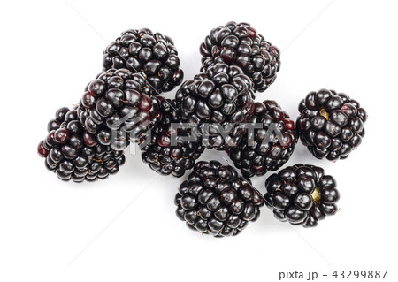 Fresh blackberry isolated on white background. Top view. Flat lay pattern 43299887