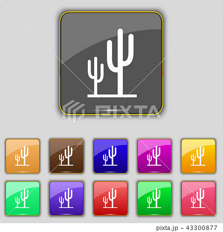 Cactus icon sign. Set with eleven colored buttons 43300877