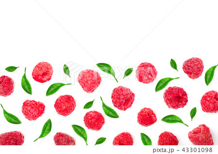 raspberries with leaves isolated on white background with copy space for your text. Top view. Flat raspberries with leaves isolated on white background with copy space for your text. Top view. Flat 43301098