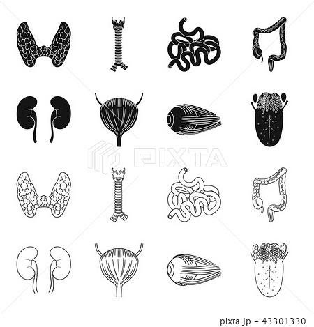 Kidney, bladder, eyeball, tongue. Human organs set collection icons in black,outline style vector 43301330