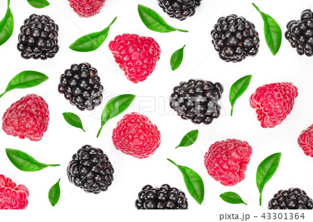 blackberry and raspberry isolated on white background. Top view with copy space for your text. Flat 43301364