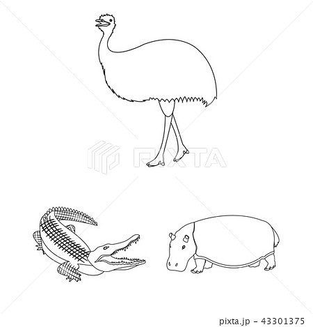 Different animals outline icons in set collection for design. Bird, predator and herbivore vector 43301375