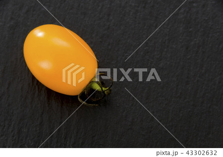 イエローミニトマト（アイコ） 43302632