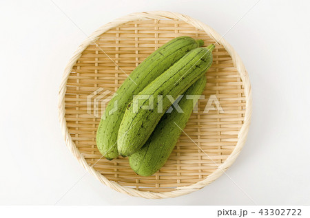 ヘチマ ヘチマ 43302722