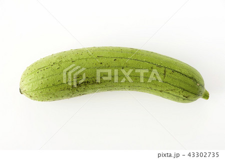 ヘチマ ヘチマ 43302735