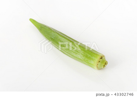 オクラ 43302746