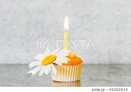 Small bright yellow cupcakes with candle 43302814
