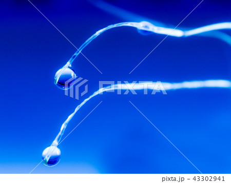 flower with water drops flower with water drops 43302941