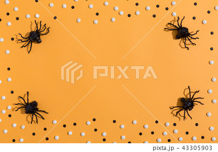 Halloween spiders overhead view Halloween spiders overhead view 43305903