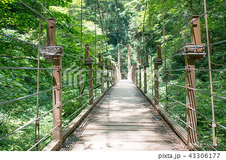 高尾山　四号路（吊り橋コース）　みやまばし 43306177