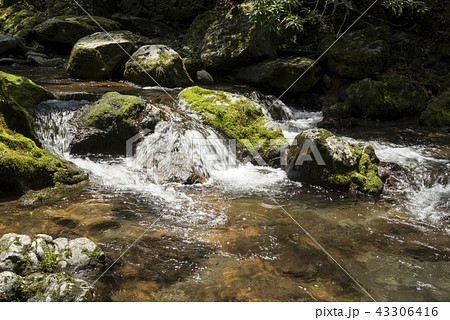 小さな段差を流れる奥十曽渓谷の流れ 小さな段差を流れる奥十曽渓谷の流れ 43306416