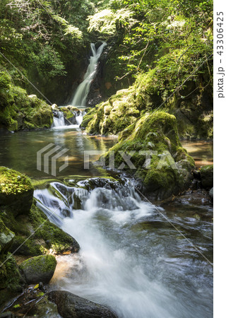 十曽川の流れとおしどりの滝 十曽川の流れとおしどりの滝 43306425