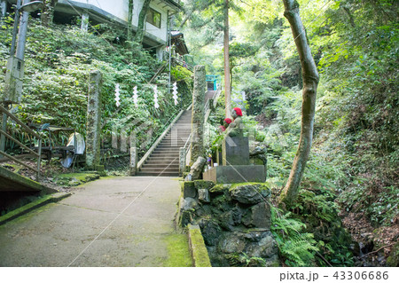 高尾山　蛇滝コース（じゃたきコース）　登山道沿い　蛇瀧水行道場 43306686