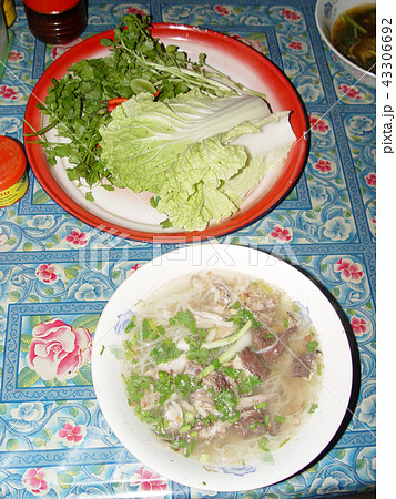 ラオスの麺料理(ルアンパバーン⇄ポーンサワン間/ラオス) ラオスの麺料理(ルアンパバーン⇄ポーンサワン間/ラオス) 43306692