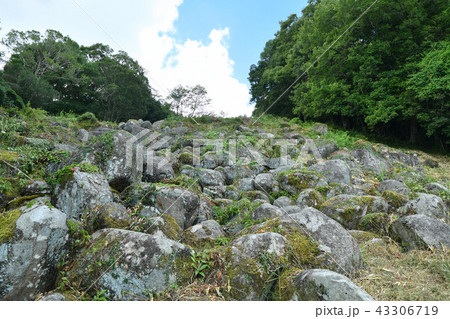 吉部の大岩郷 43306719
