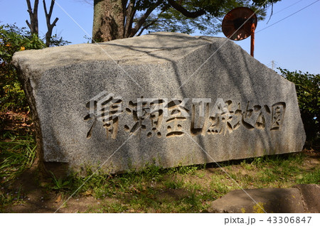 金山緑地公園の春は 清瀬市 金山緑地公園の春は 清瀬市 43306847