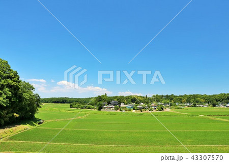 夏の青空と広い田園風景 43307570