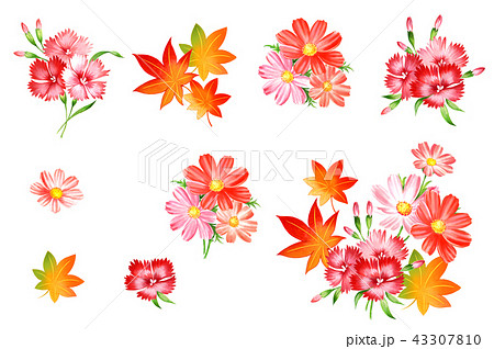 秋の花のイラスト素材 43307810 Pixta
