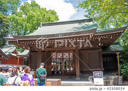 川越市 川越氷川神社 拝殿 川越市 川越氷川神社 拝殿 43308034