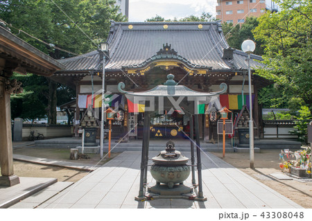川越市　蓮馨寺　（れんけいじ） 　本堂 43308048