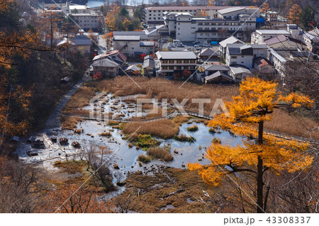 栃木県日光市 湯元温泉 源泉 湯の平湿原(11月) 栃木県日光市 湯元温泉 源泉 湯の平湿原(11月) 43308337