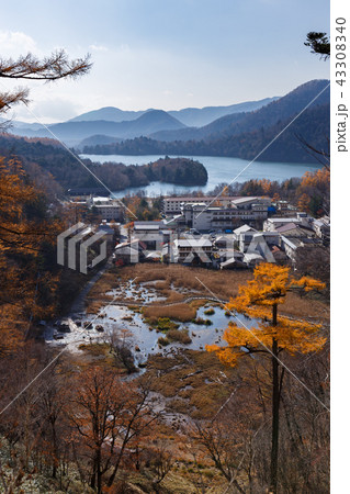 栃木県日光市　湯元温泉　湯の平湿原　湯ノ湖（11月） 43308340