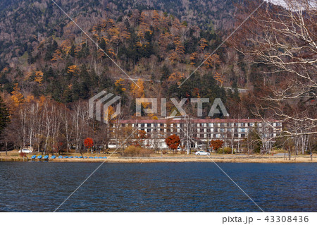 栃木県日光市　湯ノ湖　湯元温泉　（11月） 43308436