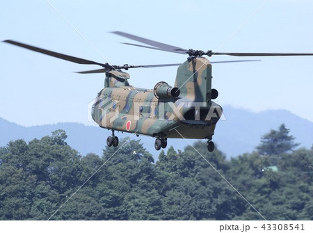 森林地帯でホバリングする災害派遣でも活躍する陸上自衛隊のCH-47Jチヌーク輸送ヘリ 43308541
