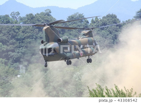 森林地帯でホバリングする災害派遣でも活躍する陸上自衛隊のCH-47Jチヌーク輸送ヘリ 43308542