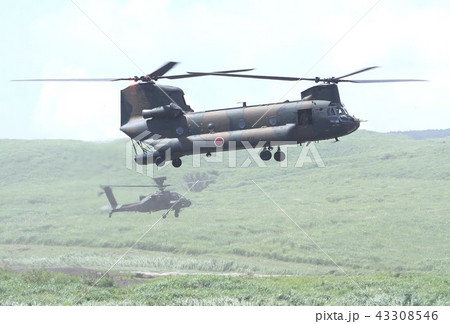 東富士演習場でホバリングする災害派遣でも活躍する陸上自衛隊のCH-47Jチヌーク輸送ヘリコプター 43308546