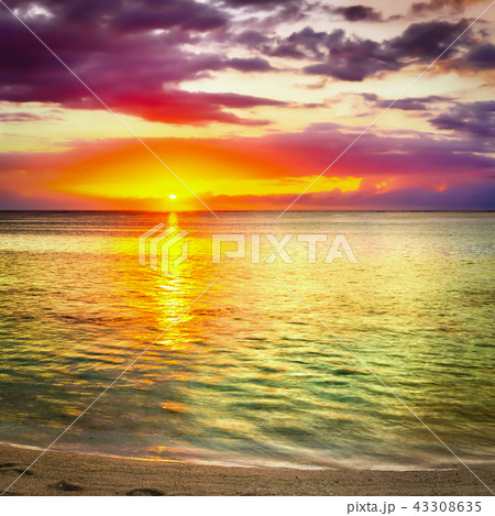 Seaview at sunset. Amazing landscape 43308635