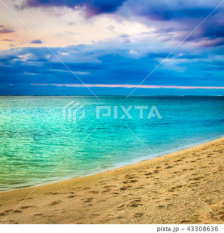 Seaview at sunset. Amazing landscape 43308636