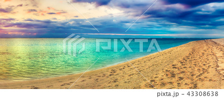 Seaview at sunset. Amazing landscape. Panorama 43308638